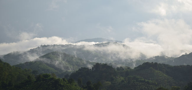 Monthly rainfall 2022