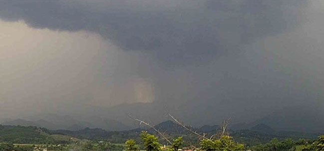 Annual rainfall by year